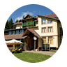 golija icon